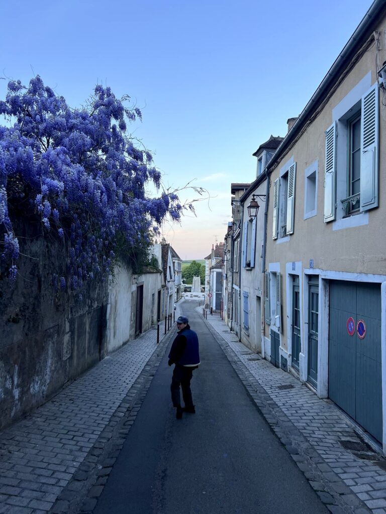 Arc Media crew member walking past wisteria on a lane in Auxerre