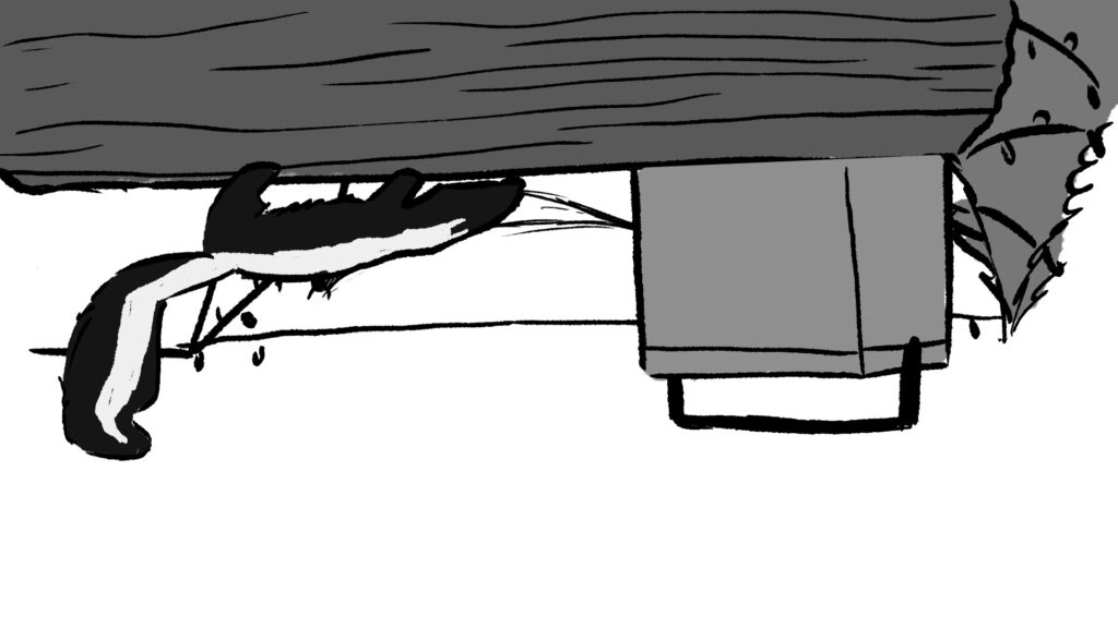 Storyboard frame of the skunk approaching the campsite hammock